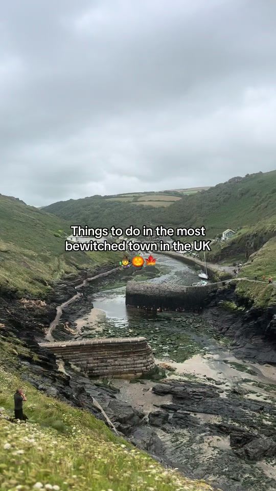 TikTok video thumbnail by thetaniachronicles