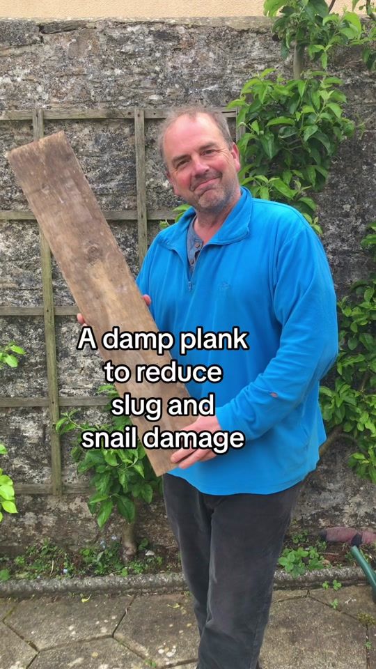 TikTok video thumbnail by simonakeroydgardener