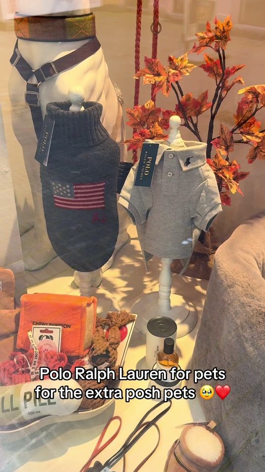 TikTok video thumbnail by petaporter