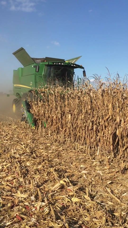 TikTok video thumbnail by farm.grup