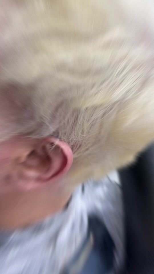 TikTok video thumbnail by barberzlounge