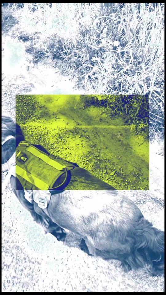 TikTok video thumbnail by tpunited