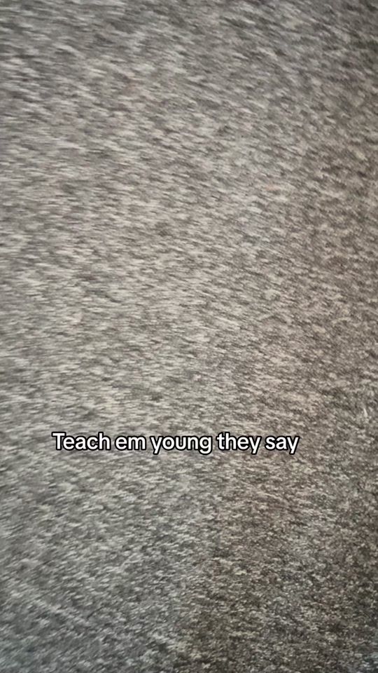 TikTok video thumbnail by melspinkworld