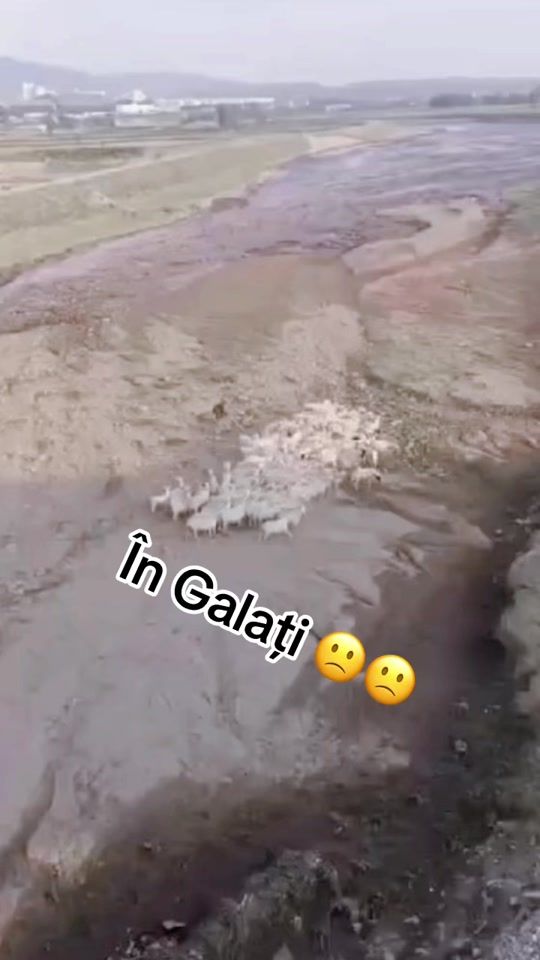 TikTok video thumbnail by joker_2007.4