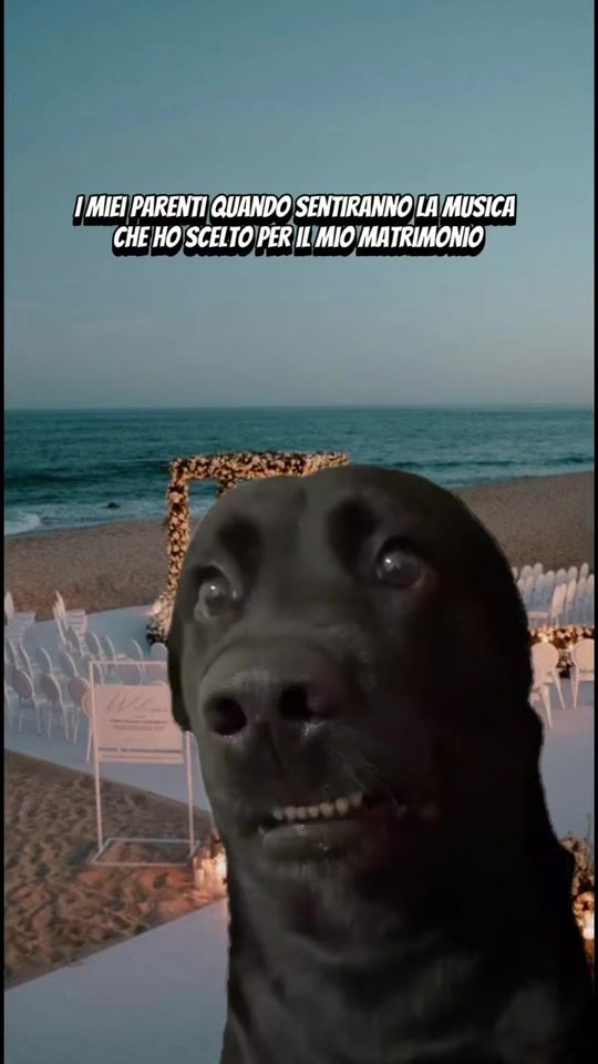 TikTok video thumbnail by bakella_