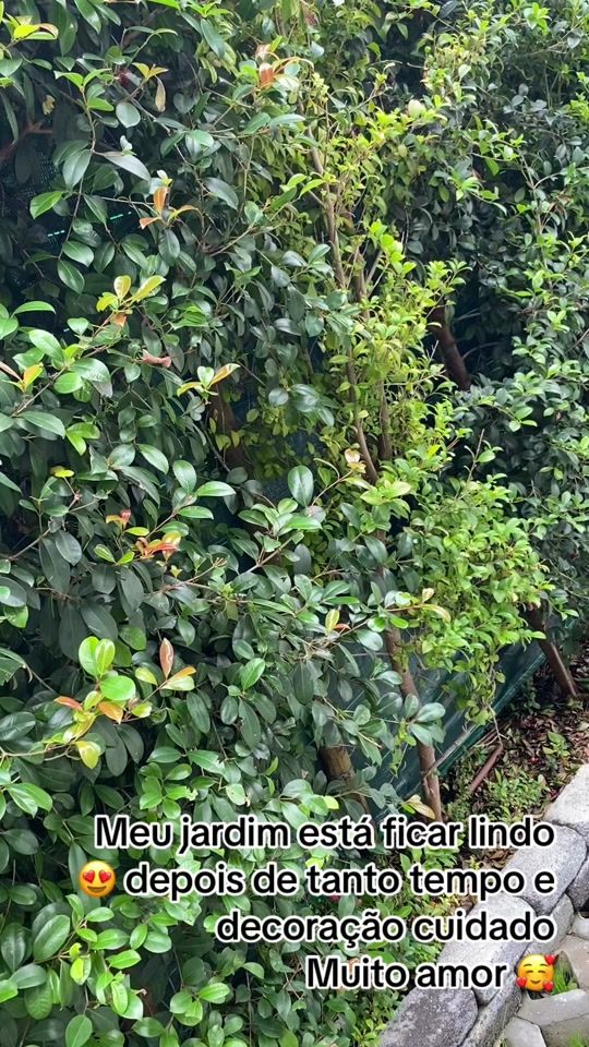 TikTok video thumbnail by aannaclaudia0