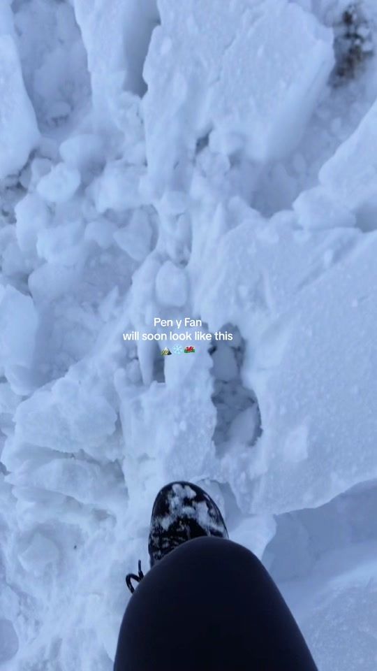 TikTok video thumbnail by elanial