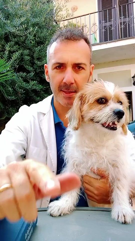 TikTok video thumbnail by dott.ale