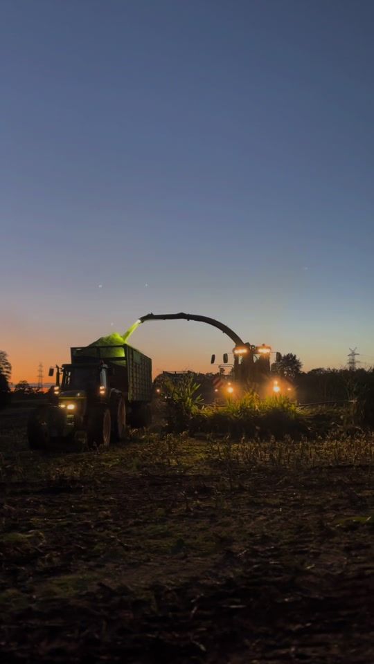 TikTok video thumbnail by melinageist2