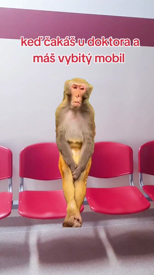 TikTok video thumbnail by bt28549