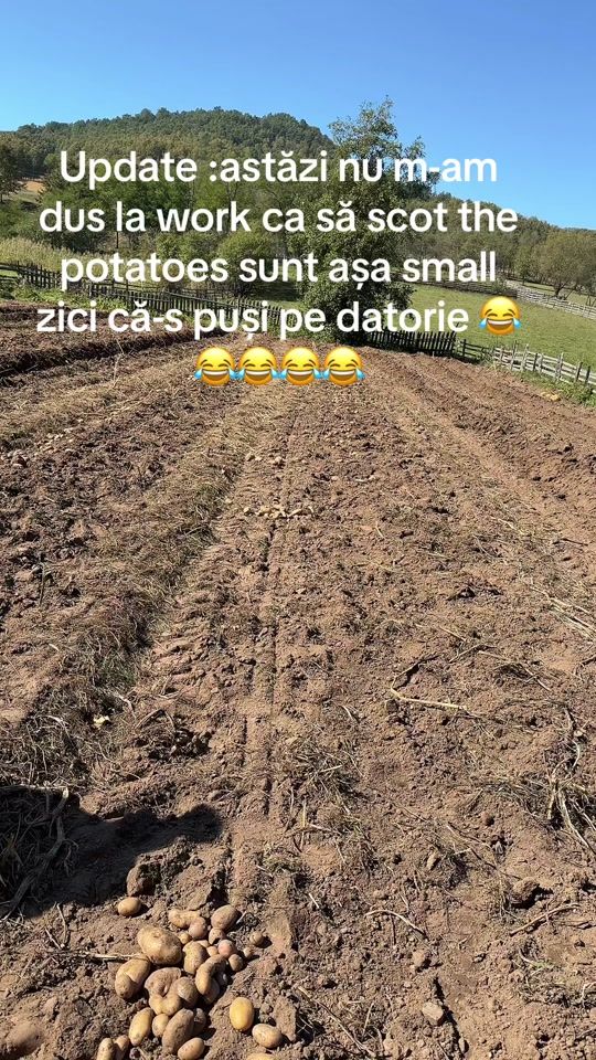 TikTok video thumbnail by georgepacurar