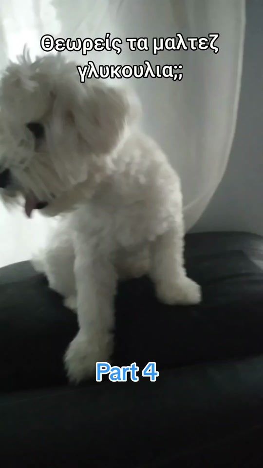 TikTok video thumbnail by gets_u