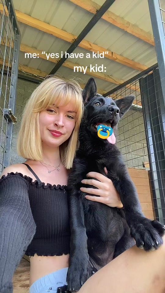 TikTok video thumbnail by arcatheshepherd