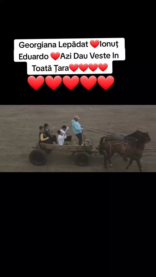 TikTok video thumbnail by sorinaofelia
