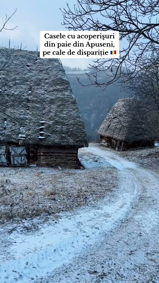 TikTok video thumbnail by siltrips