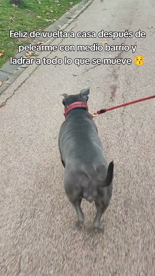 TikTok video thumbnail by nalalamala7