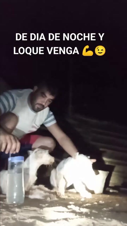 TikTok video thumbnail by raulcampocampo