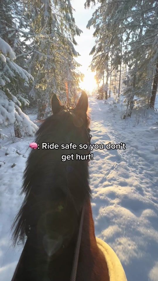 TikTok video thumbnail by teamgjerdalen