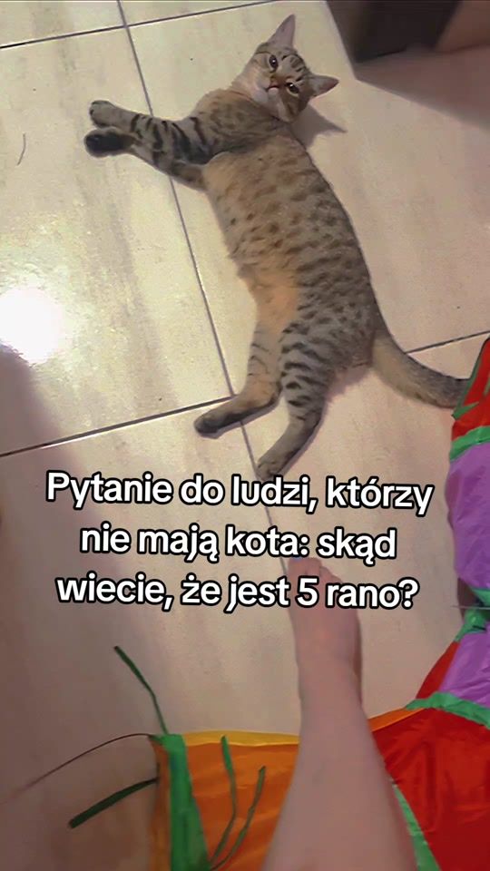 TikTok video thumbnail by a.co.jzeli