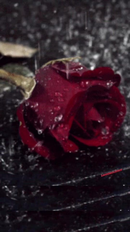 TikTok video thumbnail by maira89322