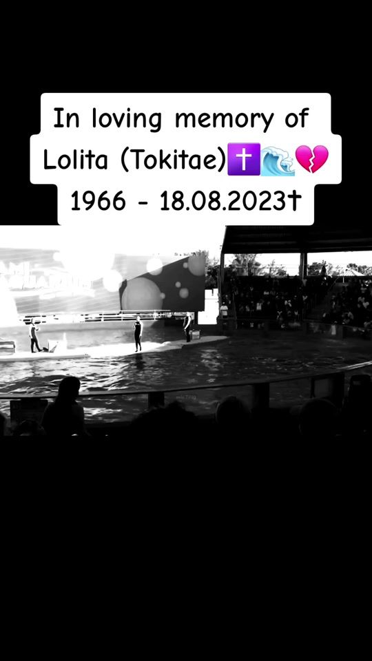 TikTok video thumbnail by mia.7590