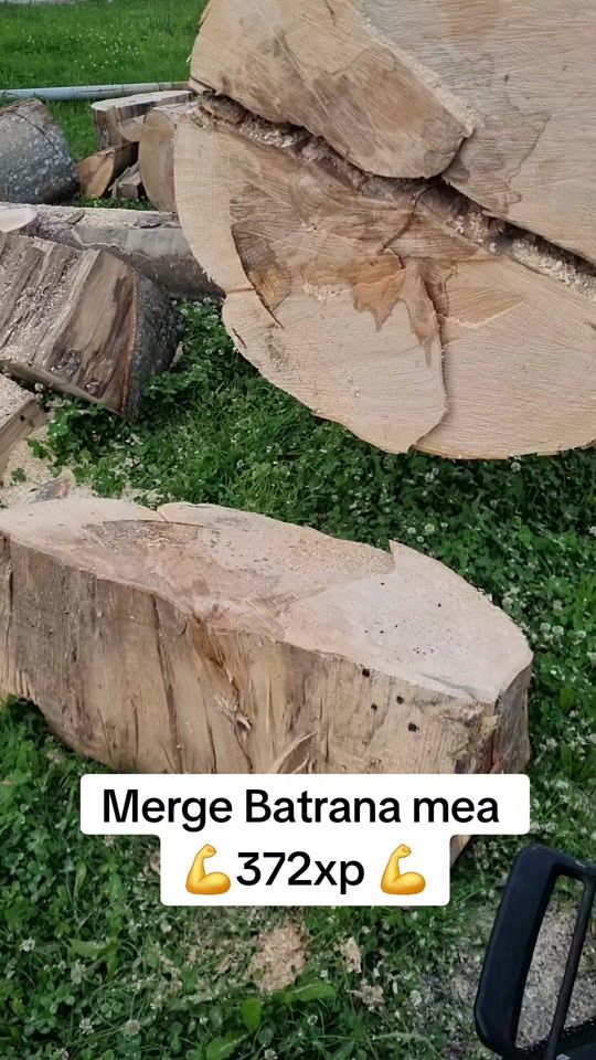 TikTok video thumbnail by paulrogoz