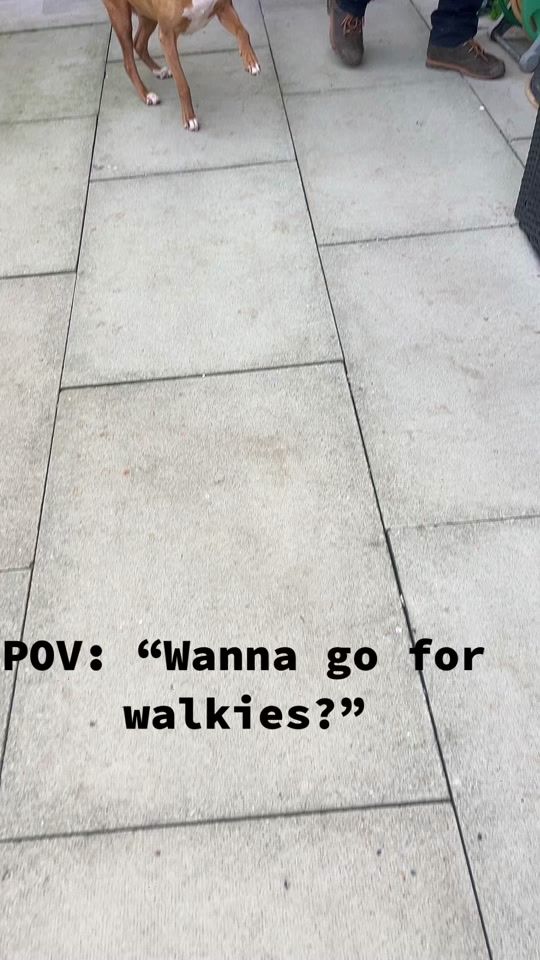 TikTok video thumbnail by x.livpurcell.xo