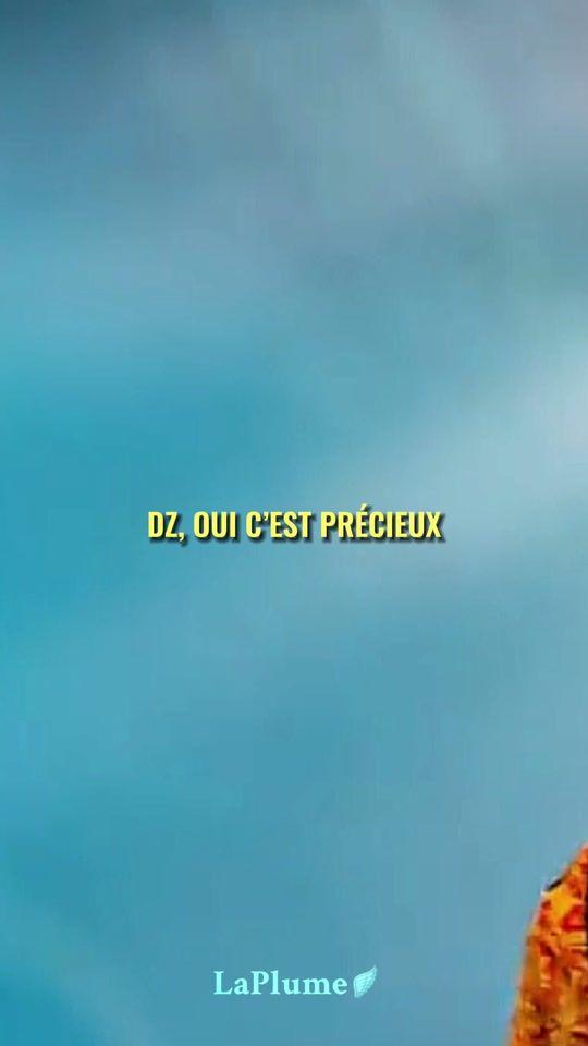 TikTok video thumbnail by laplumesaigne