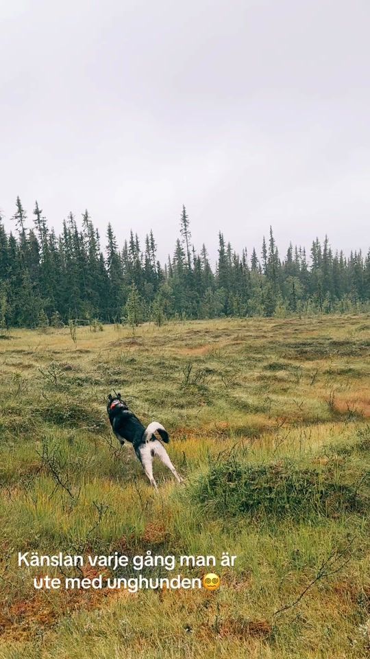 TikTok video thumbnail by britafw