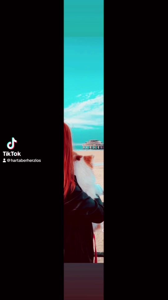 TikTok video thumbnail by hartaberherzlos