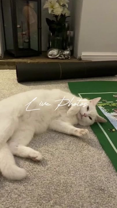 TikTok video thumbnail by macgusmisty
