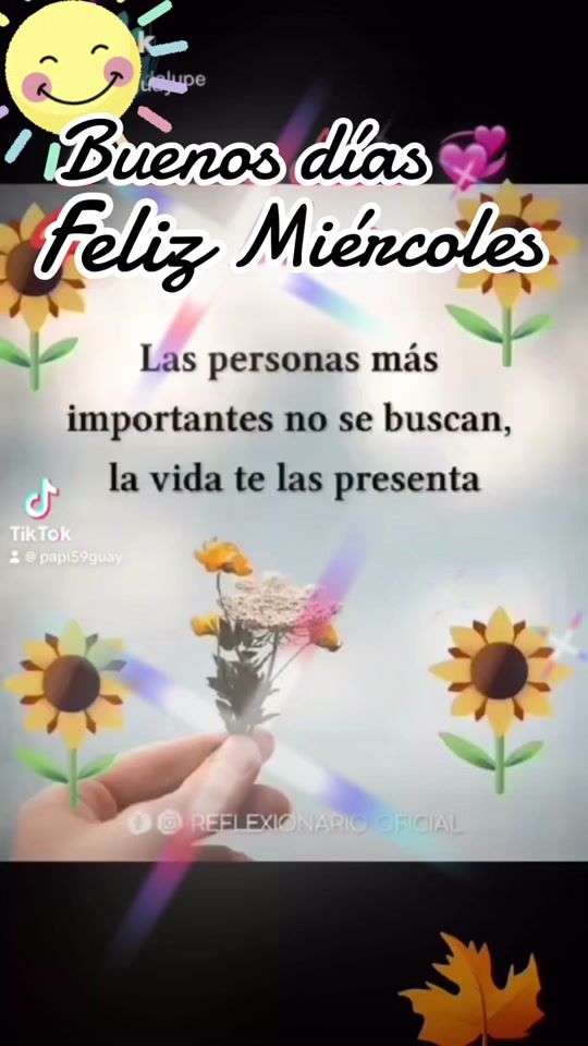 TikTok video thumbnail by papi59guay