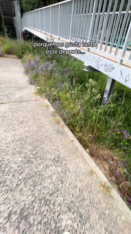 TikTok video thumbnail by danisbfz