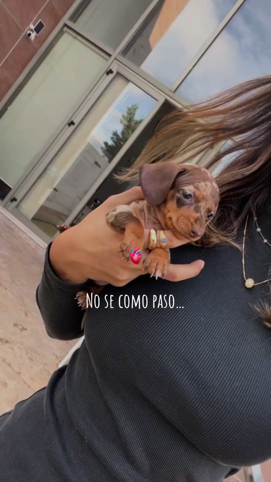 TikTok video thumbnail by bimbateckel04