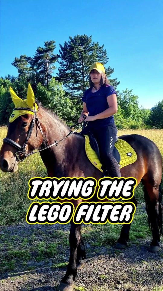 TikTok video thumbnail by cindylescrinsdusancy