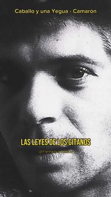 TikTok video thumbnail by flamencotemas8