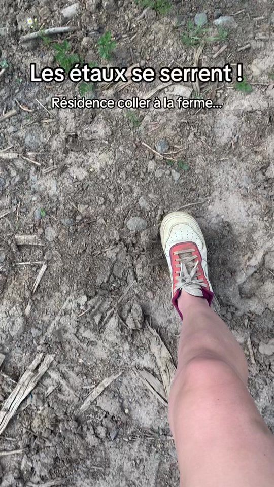 TikTok video thumbnail by melagricole