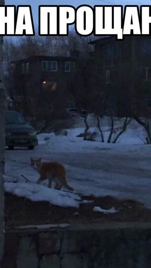 TikTok video thumbnail by sjgskhh02