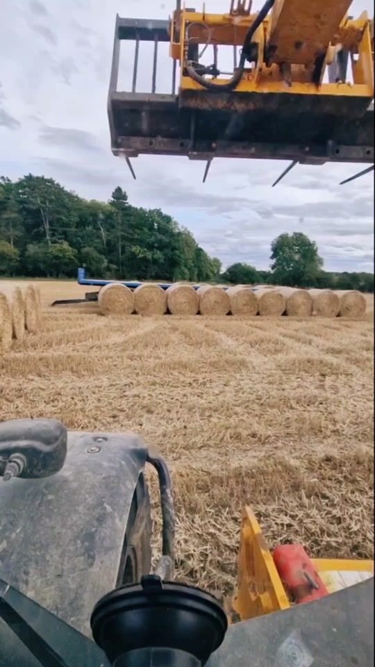 TikTok video thumbnail by harriette240