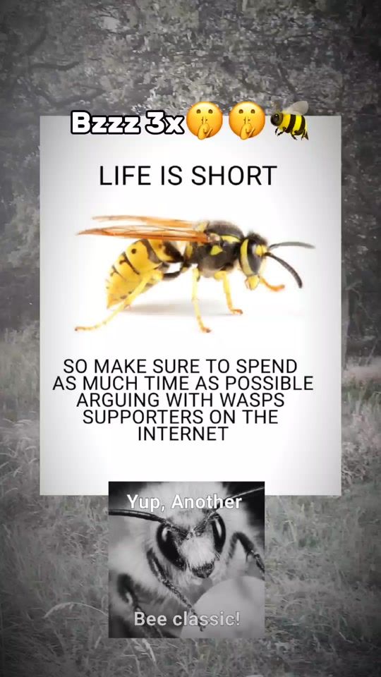 TikTok video thumbnail by antiwasp