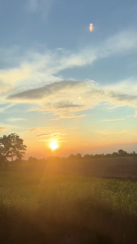 TikTok video thumbnail by vanessagioia97