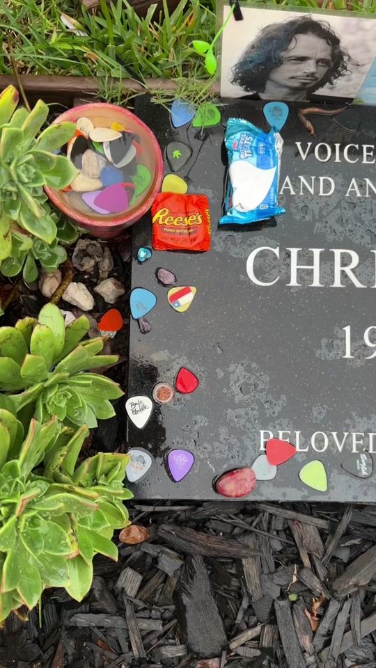 TikTok video thumbnail by hwdforever