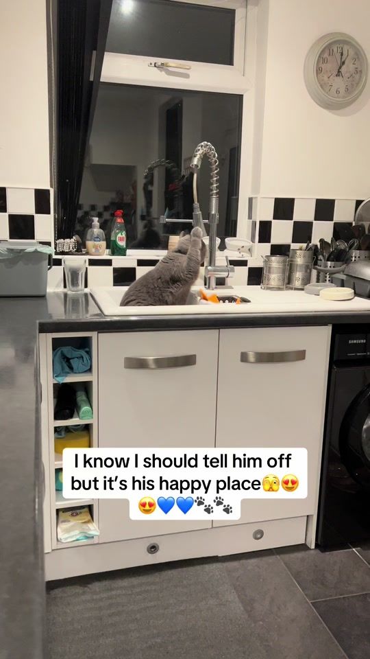 TikTok video thumbnail by baby_gatsby