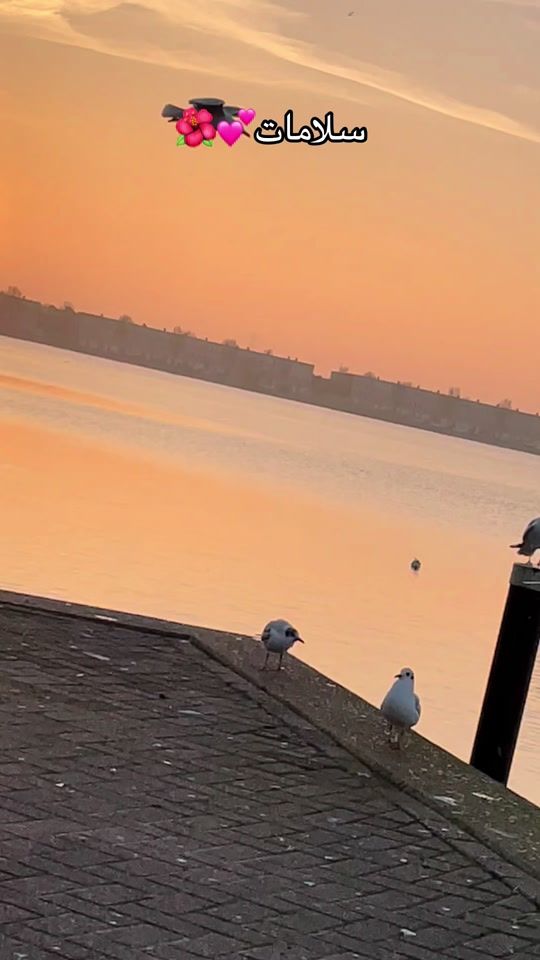 TikTok video thumbnail by kamel.602