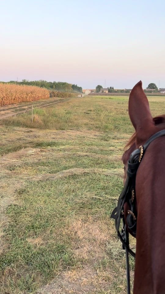 TikTok video thumbnail by mullerzsanett1