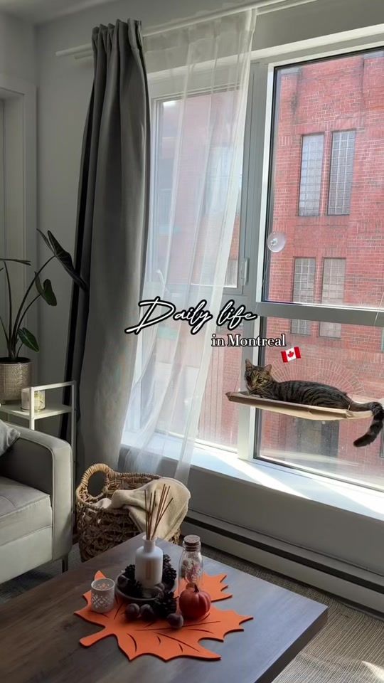 TikTok video thumbnail by poaime___