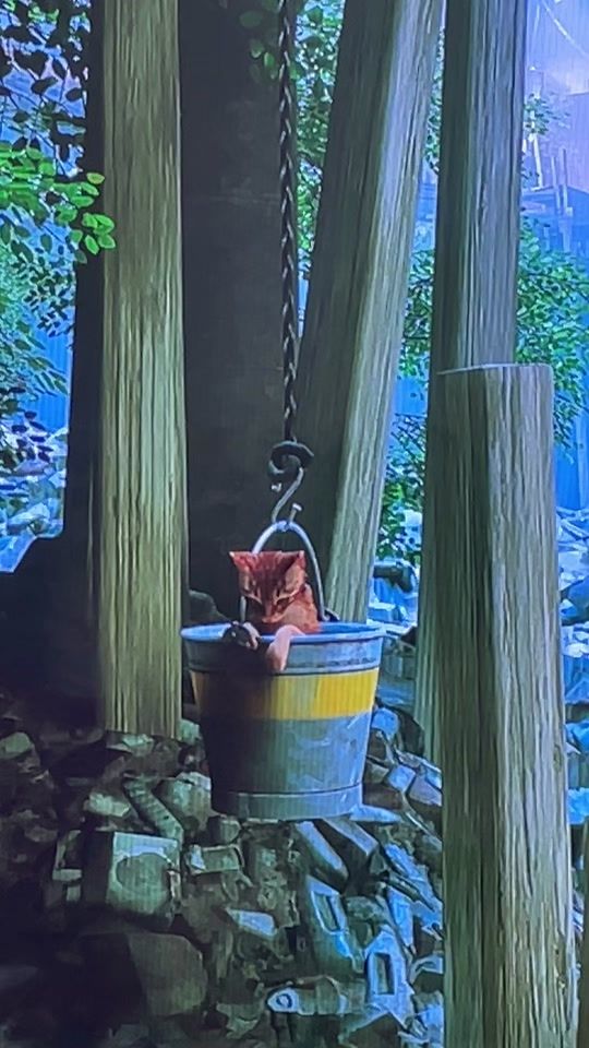 TikTok video thumbnail by stray..editz._