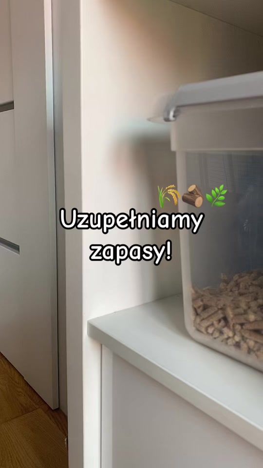 TikTok video thumbnail by thebunnyflop