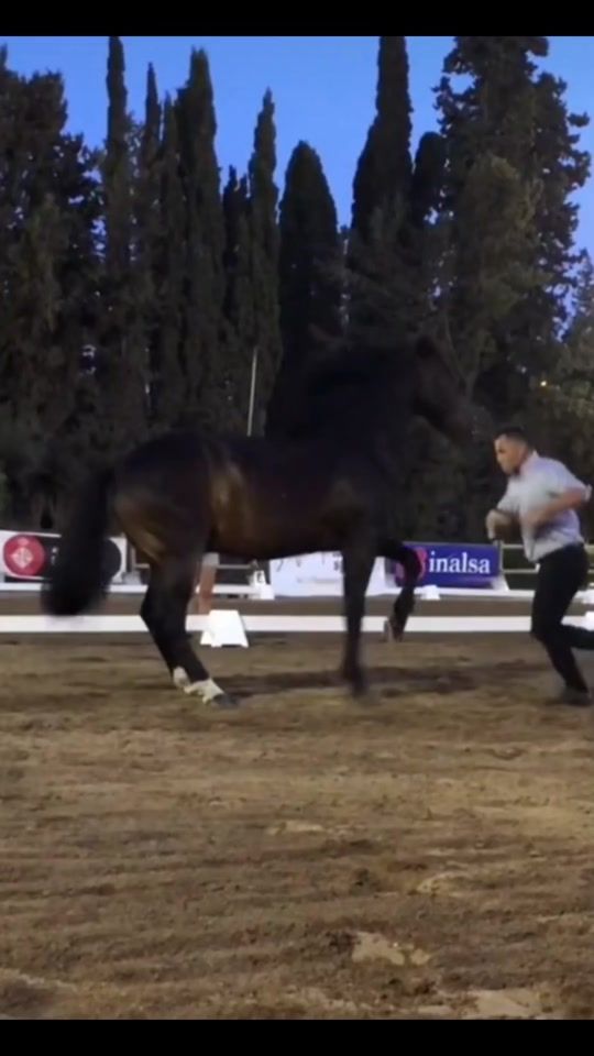 TikTok video thumbnail by wwwperlasur