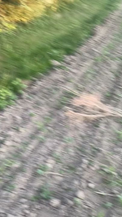 TikTok video thumbnail by 2_takt_felix_